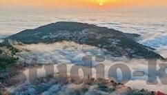 麻豆传媒视频播放-麻豆传媒视频,网络内容的多元性与风险性