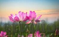 麻豆国产原创av-